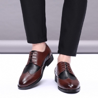 Męskie Oryginalne Skórzane Oddychające Wydrążone Pointy Toe Vintage Casual Business Shoes